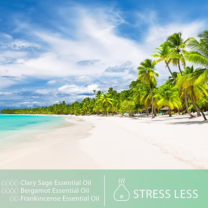 3.38FL.OZ Clary Sage Essential Oil for Aromatherapy Diffusers with Glass Dropper, Humidifiers, Great for DIY Candle and Soap Making, Huge 100ML Bottle