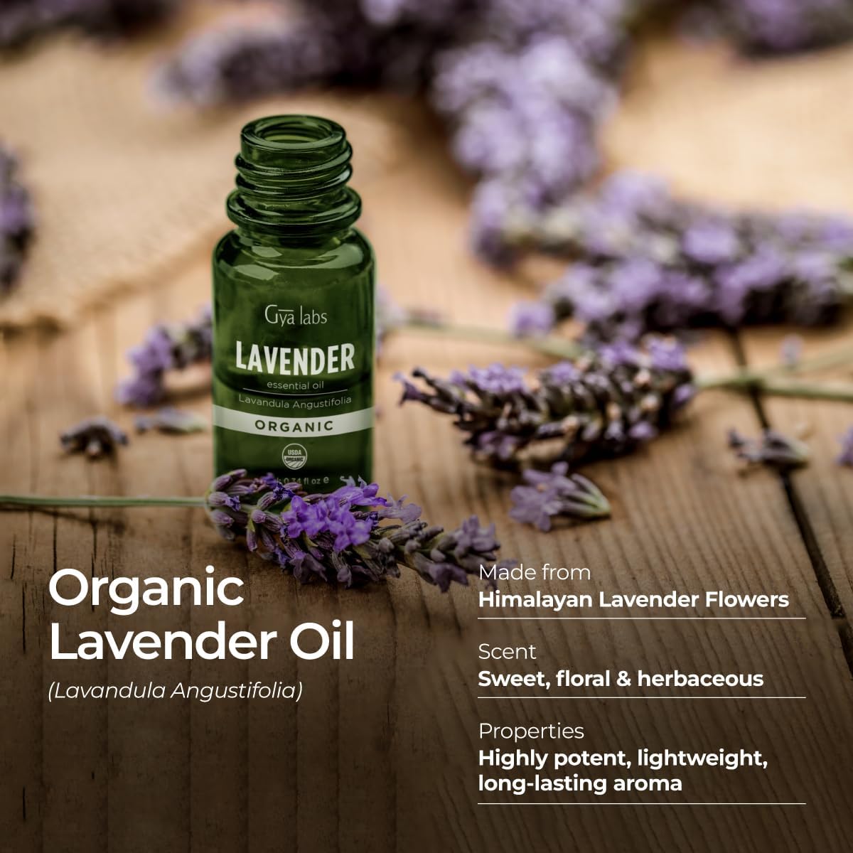 Gya Labs Organic Lavender Essential Oil - 0.34 Fl Oz - for Skin, Hair, Diffuser, Aromatherapy, DIY Candle Making Scents