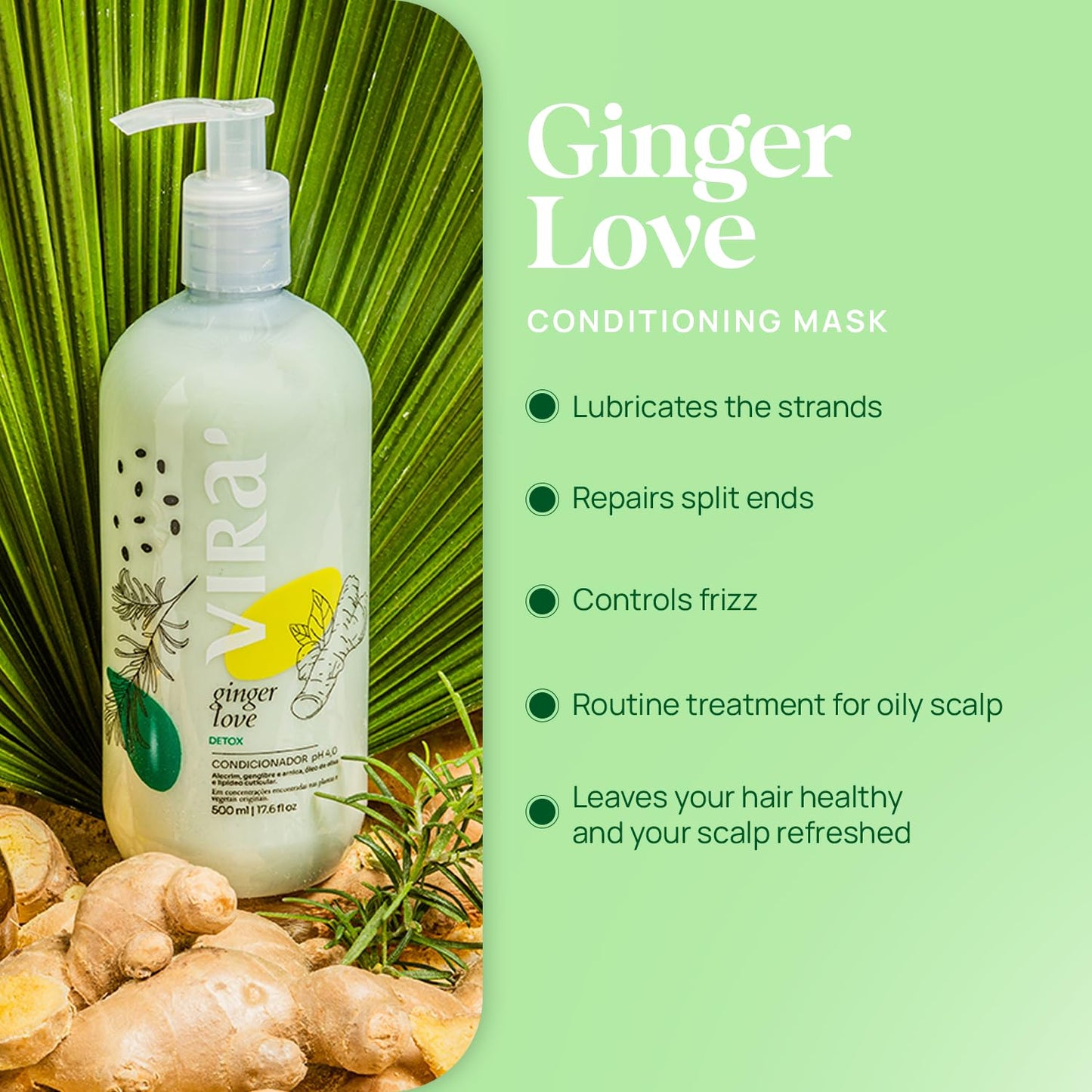 Brazilian Shampoo and Conditioner Set, Paraben-Free, Deep Moisturizing Treatment, Hair Recovery, Refreshing Action, Ginger Love Detox & Clean Beauty, 17.6 Fl Oz Each