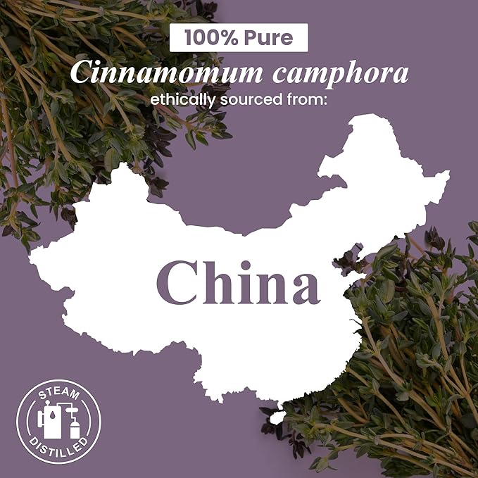 Handcraft Blends Camphor Essential Oil - Huge 4 Fl Oz - 100% Pure and Natural - Premium Grade Essential Oil for Diffuser and Aromatherapy