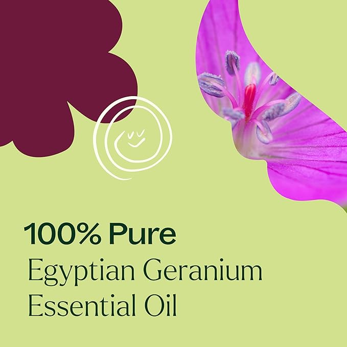 Plant Therapy Egyptian Geranium Essential Oil 100% Pure, Undiluted, Natural Aromatherapy, Therapeutic Grade 10 mL (1/3 oz)