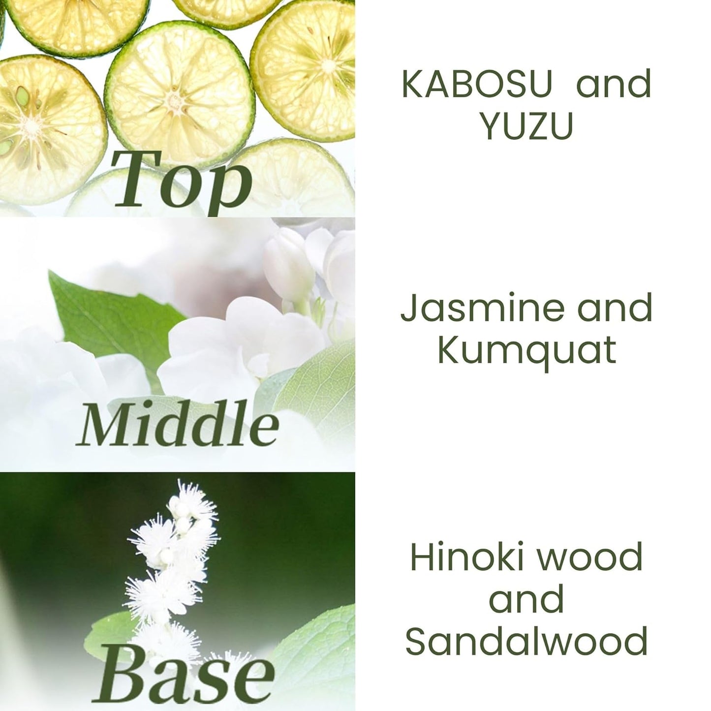 Dry Scalp Treatment for Dry, Damaged Hair Women & Men, Deep Conditioner with Green Algae Extract, Hot Spring Yeast & Honey from Japan, for Frizzy or Curly Hair, Citrus Scent, 6.76 Fl Oz