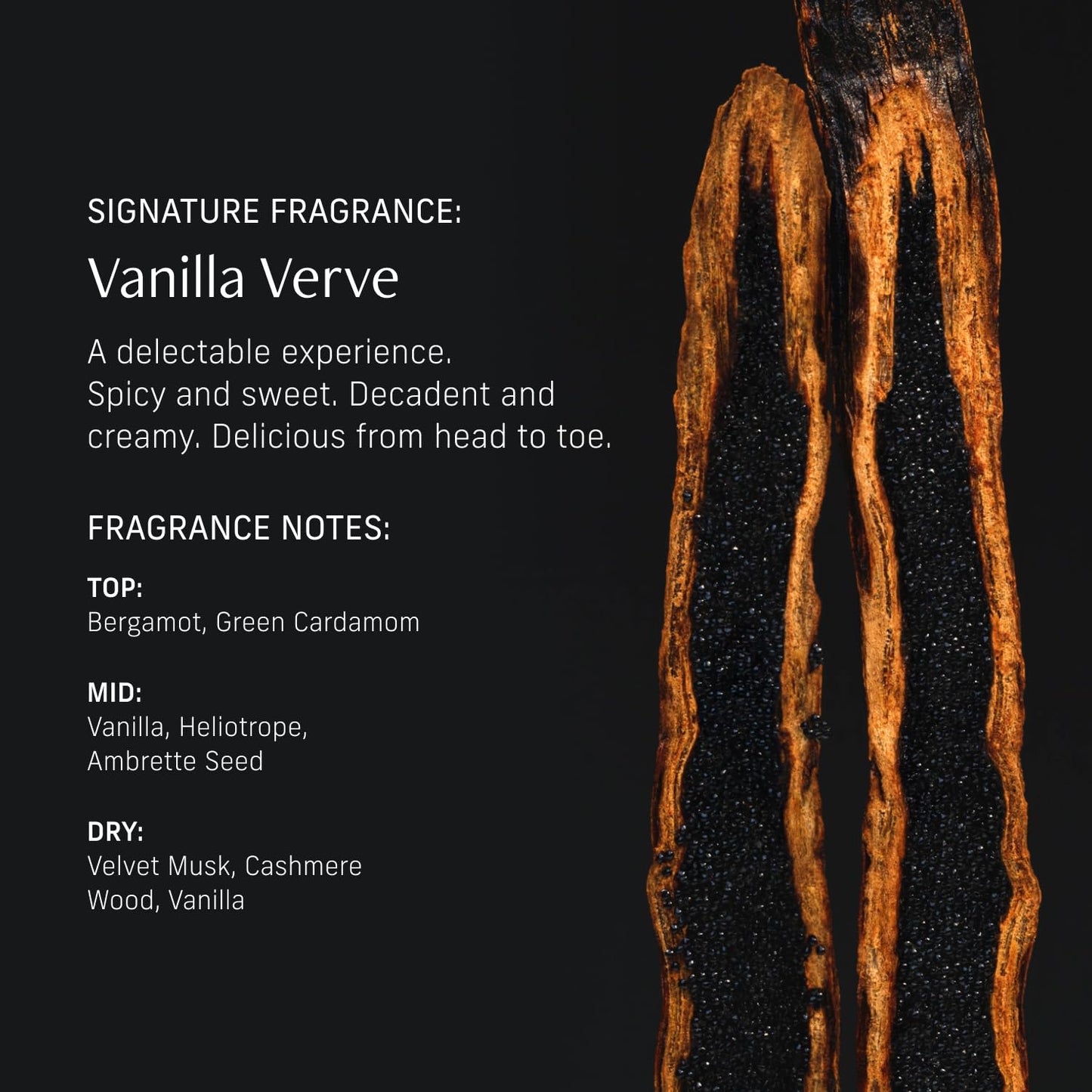 CYKLAR Perfume Oil Roll-On. Travel-Friendly Vanilla Verve Fragrance with Vanilla, Bergamot, and Amber Notes. Long-Lasting Essential Oil Parfum for Women and Men. 0.5 Fl Oz Scented Rollerball Bottle