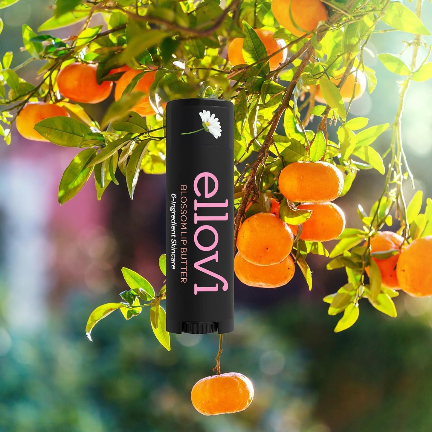 Ellovi Natural Lip Butter Lip Balm - Blossom - Pure Enough to Eat - Made With Just 6 Vegan Ingredients - Moisturizing Lip Care for All Day Hydration (Single)