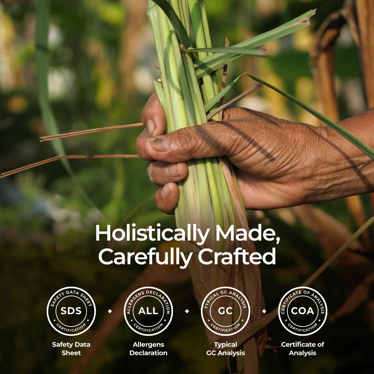 Gya Labs Organic Lemongrass Essential Oil - 0.34 Fl Oz - for Skin, Hair, Diffuser, Aromatherapy, DIY Candle Making Scents