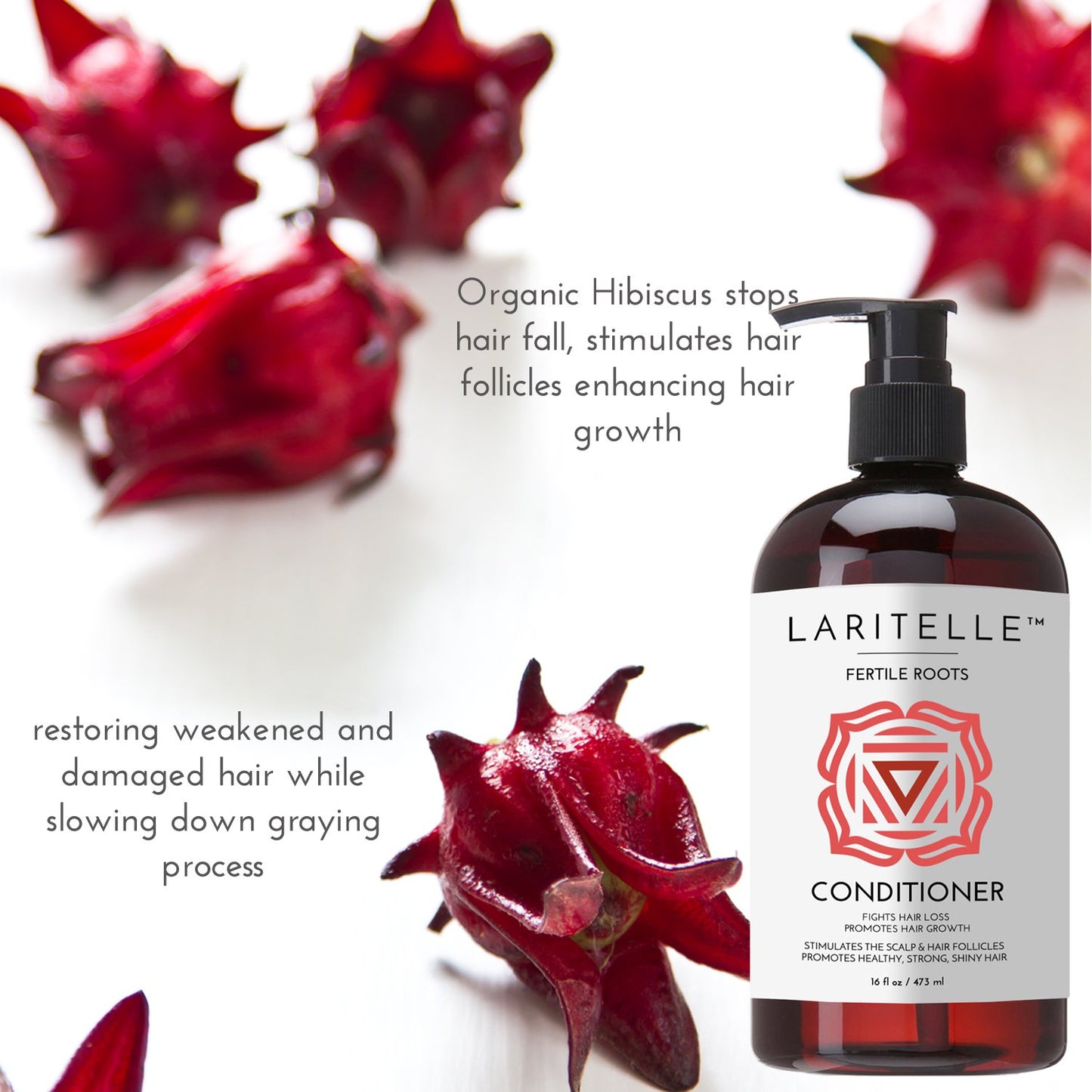 Laritelle Organic Shampoo 17 oz + Conditioner 16 oz | Prevents Hair Loss, Promotes Hair Growth | Ayurvedic Herbs, Lavender, Ginger & Rosemary | NO GMO, Sulfates, Gluten, Alcohol, Parabens, Phthalates