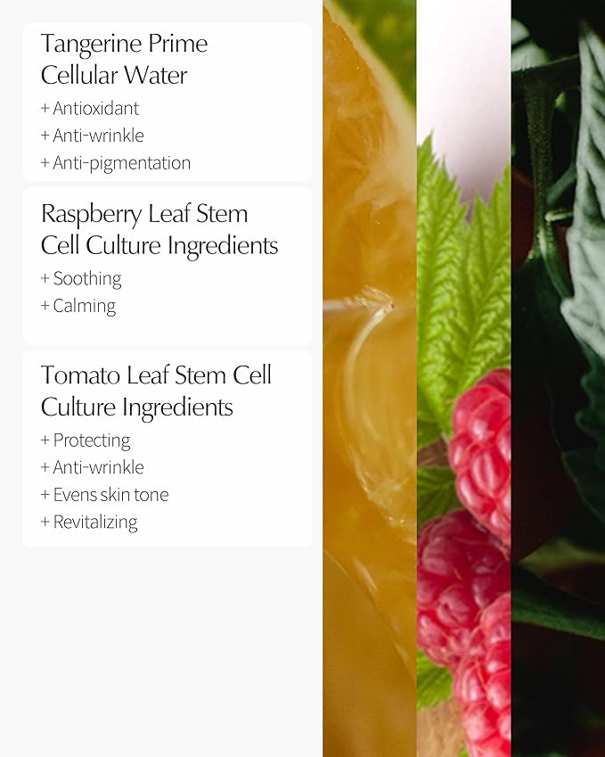 LBB Cellular Intensive Nourishing Eye Cream - Vegan Eye Lifting Treatment - Improves Wrinkles, Anti Aging, Nourishing - Tangerine Cellular Water, Shea Butter, Vitamin E, 0.5 oz.