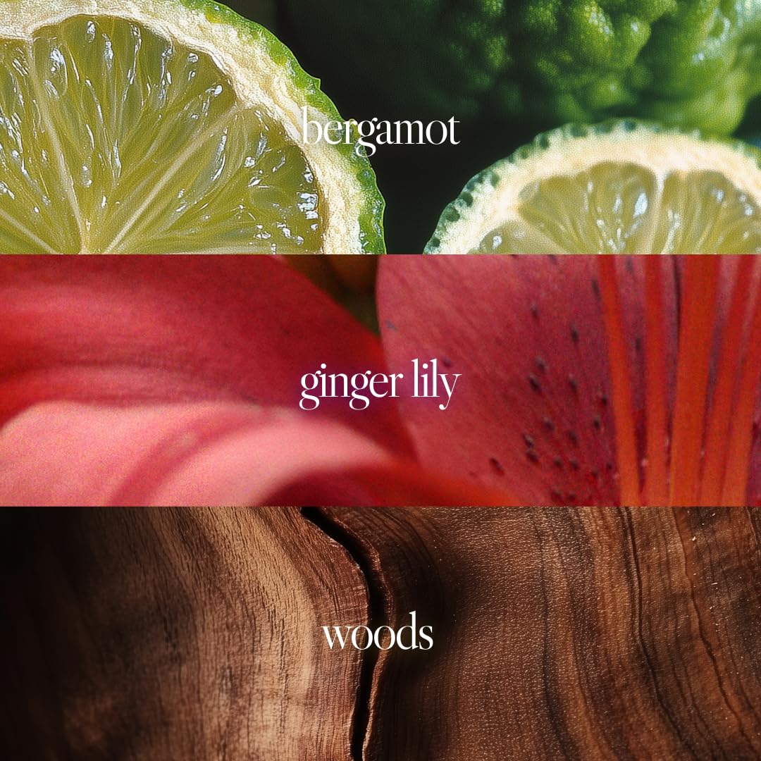 Noteworthy n,249 Afternoon Daydream Eau De Parfum –Bergamot, Ginger Lily, Wood | Sophisticated, Warm Fragrance for Any Occasion | Long-lasting Unisex Perfume for Women & Men (100ml)