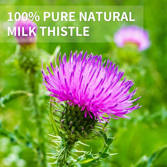 Milk Thistle Tea Bags - 60bags/6.4 OZ 100% Pure & Natural Roasted Milk Thistle Seeds Herbal Tea, Caffeine Free, No Additives, No Sugar, Non-GMO, No Gluten