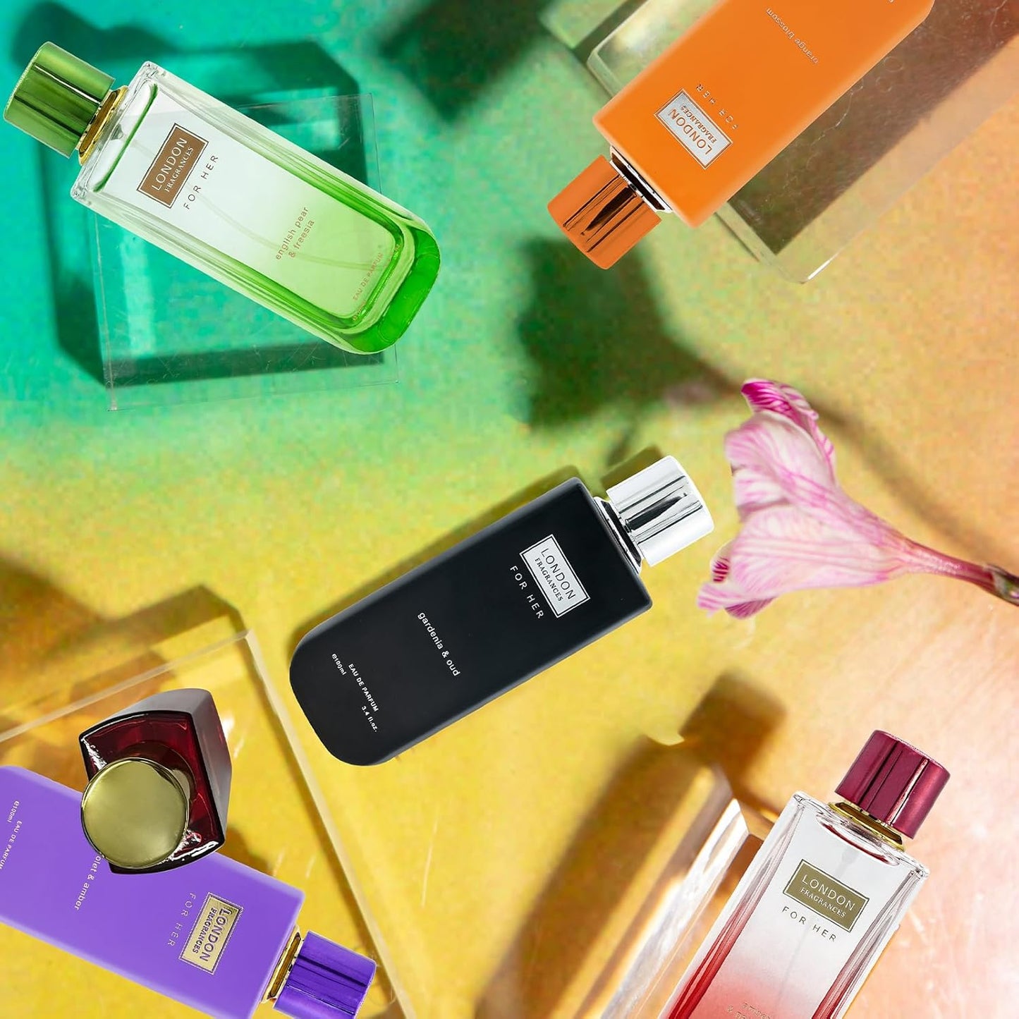 London Fragrances Violet and Amber - Powdery Oud, Perfumes for Women - Women's Fragrances with Coconut and Patchouly - 3.4 oz EDP Spray