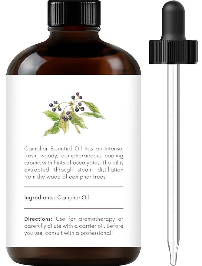 Handcraft Blends Camphor Essential Oil - Huge 4 Fl Oz - 100% Pure and Natural - Premium Grade Essential Oil for Diffuser and Aromatherapy