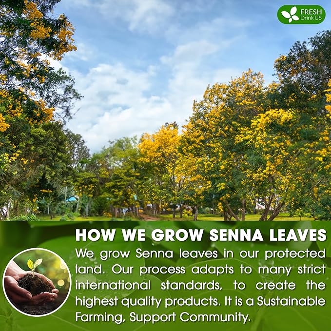 FreshDrinkUS, Premium 75 Senna Leaf Tea Bags, 100% Natural & Pure from Senna Leaves. Loose Leaf Senna Herbal Tea, Made with Natural Material Tea Bags. No Sugar, No Caffeine, No Gluten, Vegan.