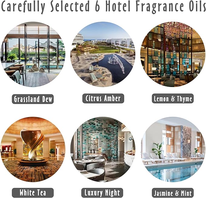 Fragrance Oils, MitFlor Hotel Collection Diffuser Oil for Home, Soap & Candle Making Scents, Aromatherapy Essential Oils Set 6x10ml, Lemon & Thyme, Citrus Amber, White Tea and More