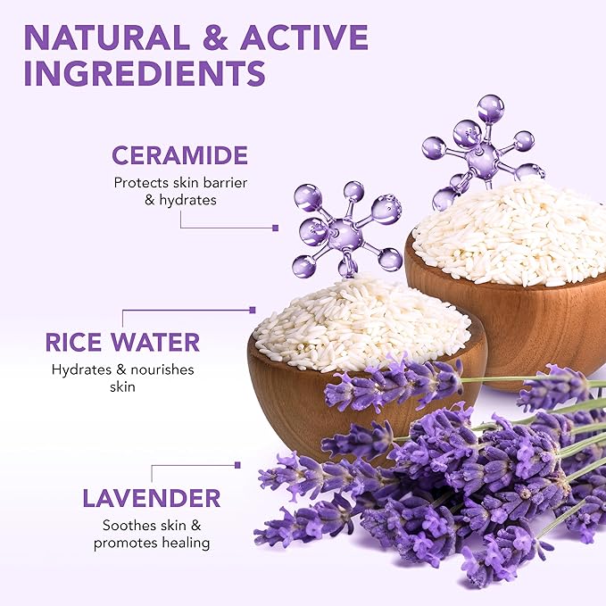 Botanic Hearth Dreamy Lavender Body Scrub 8.8 fl oz - Gently Exfoliates and Moisturizes Skin, Infused with Natural Lavender Oil and Essential Nutrients for Smooth and Radiant Skin