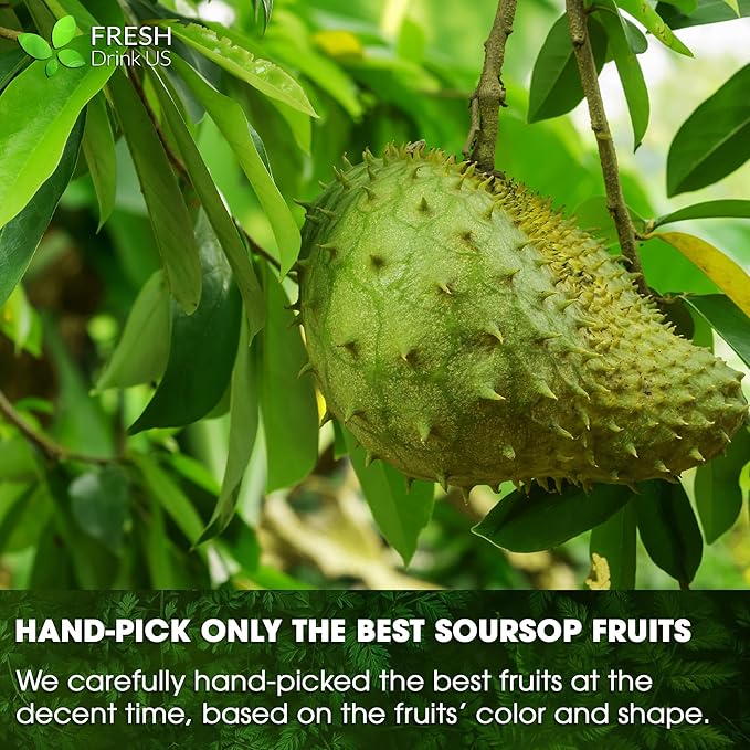 FreshDrinkUS, Premium 1oz Soursop Fruit Powder, 100% Natural and Pure from Soursop Graviola Fruit, Soursop Fruit Tea, No Additives, No Gluten, No Sugar, Vegan, Guanabana Powder, Handmade Product