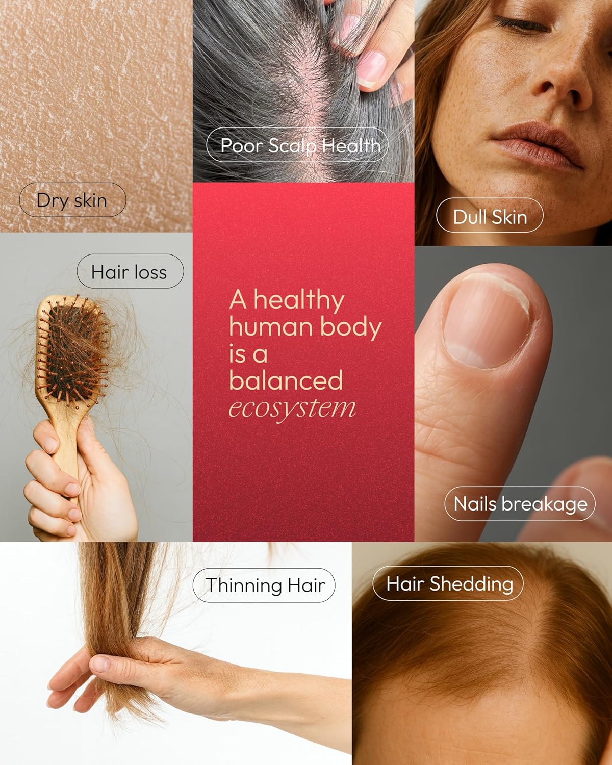 Hair Skin & Nails Gummies - 6000 mcg Biotin Vitamins & Minerals Supplement - Plant-Based, Vegan, No Artificial Flavors - Easy Absorption, Multivitamin Gummy - 60ct, Wildberry Flavor