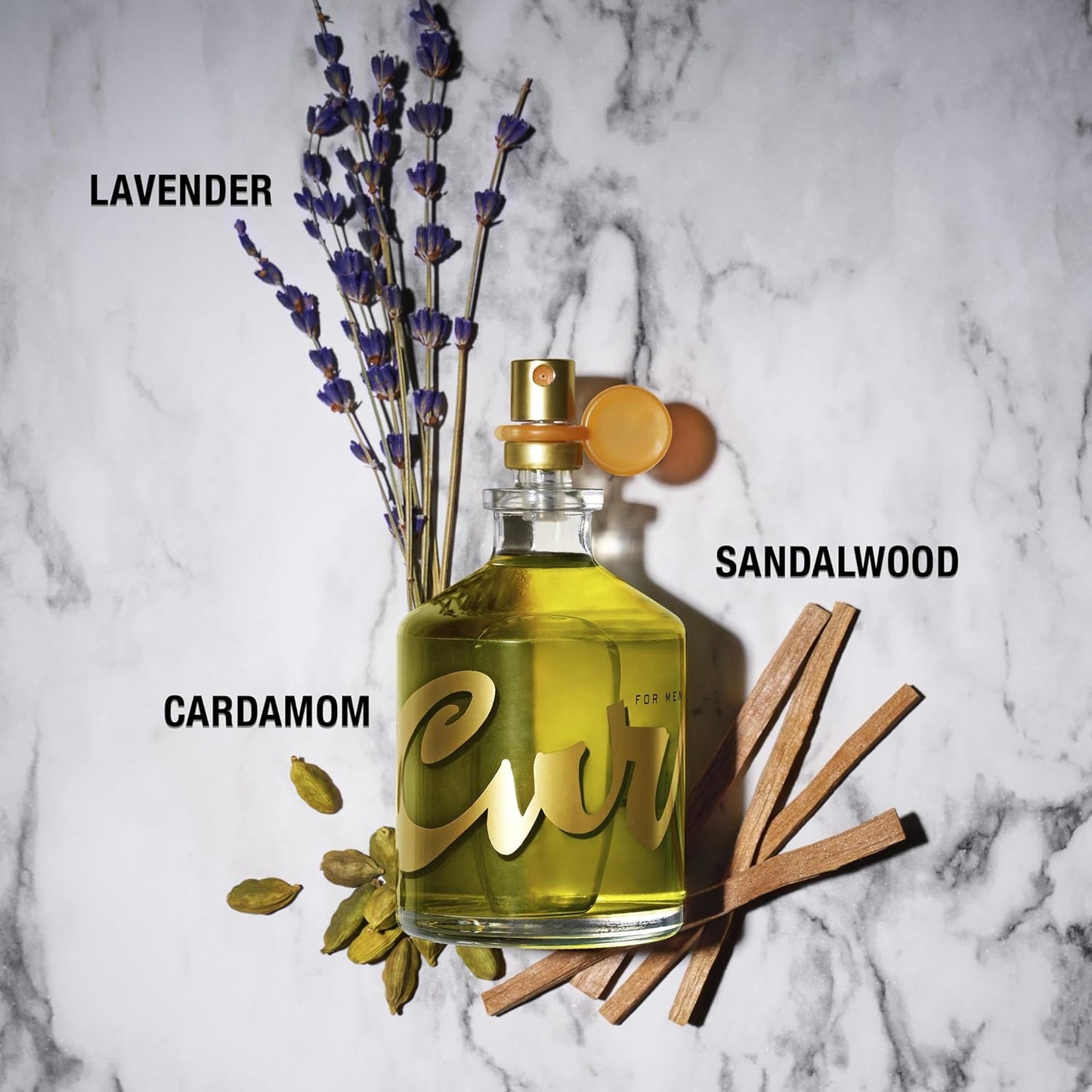 Curve for Men Cologne Spray, Spicy Woody Magnetic Scent for Day or Night, 1.0 fl oz