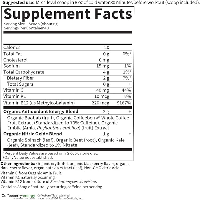 Garden of Life Sport Organic Plant-Based 85mg Caffeine, B12, 40 40 Servings, 8.14 Oz