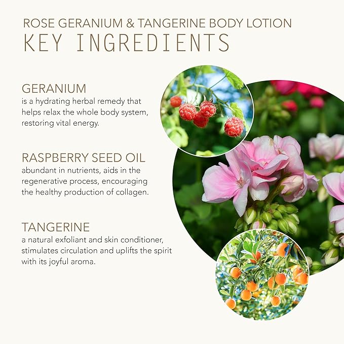 TAMMY FENDER - Rose Geranium & Tangerine Body Lotion | Natural, Organic, Cruelty Free, Non-Toxic Skincare | Luxe, Nourishing, Hydrating | All Skin Types (8 oz | 228 g)
