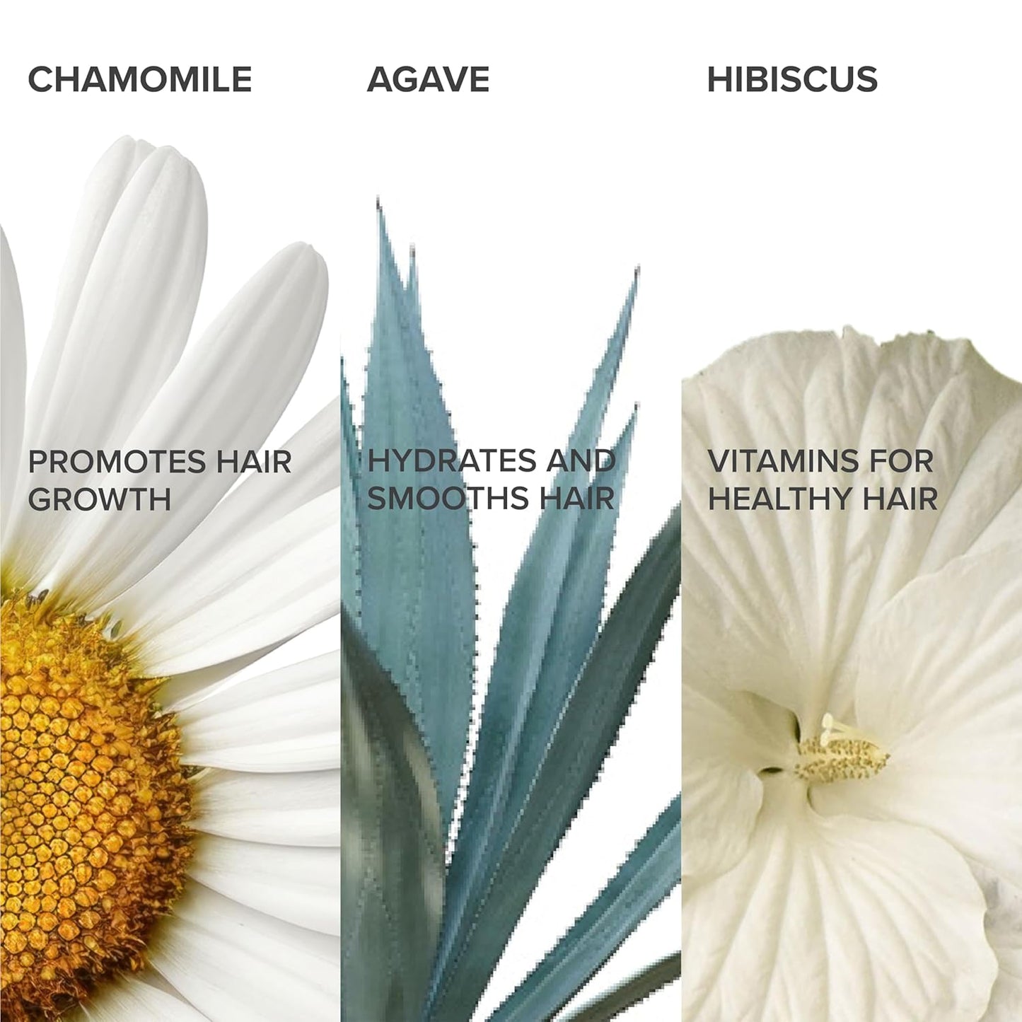 Shedavi Hair Gel - Natural Moisturizing Curl Defining Styling Gel for Unisex Curly Hair, Coils & Anti Frizz