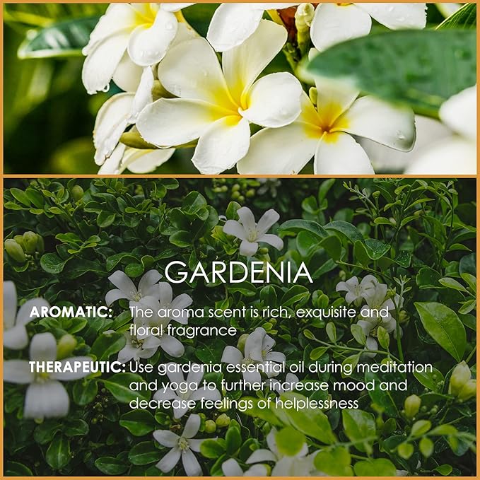 Gardenia Essential Oil 4 Fl Oz (120ml) - Pure and Natural Fragrance Oil, Gardenia Oil for Aromatherapy, Diffusers, Candle Making, Massage, Soap, Perfume