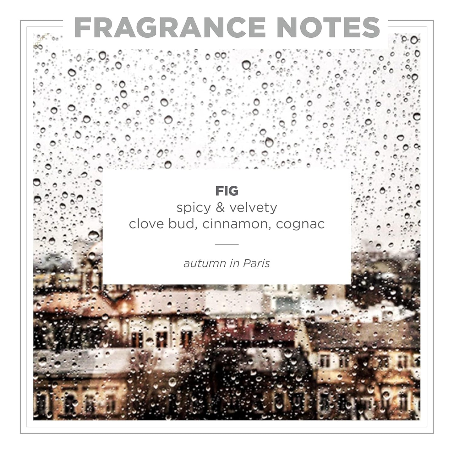 Zents Eau de Parfum (Fig) for Women & Men | Long-Lasting Clean Fragrance with Clove, Cinnamon & Vetiver | Spicy & Warm Scent | 1.69 oz