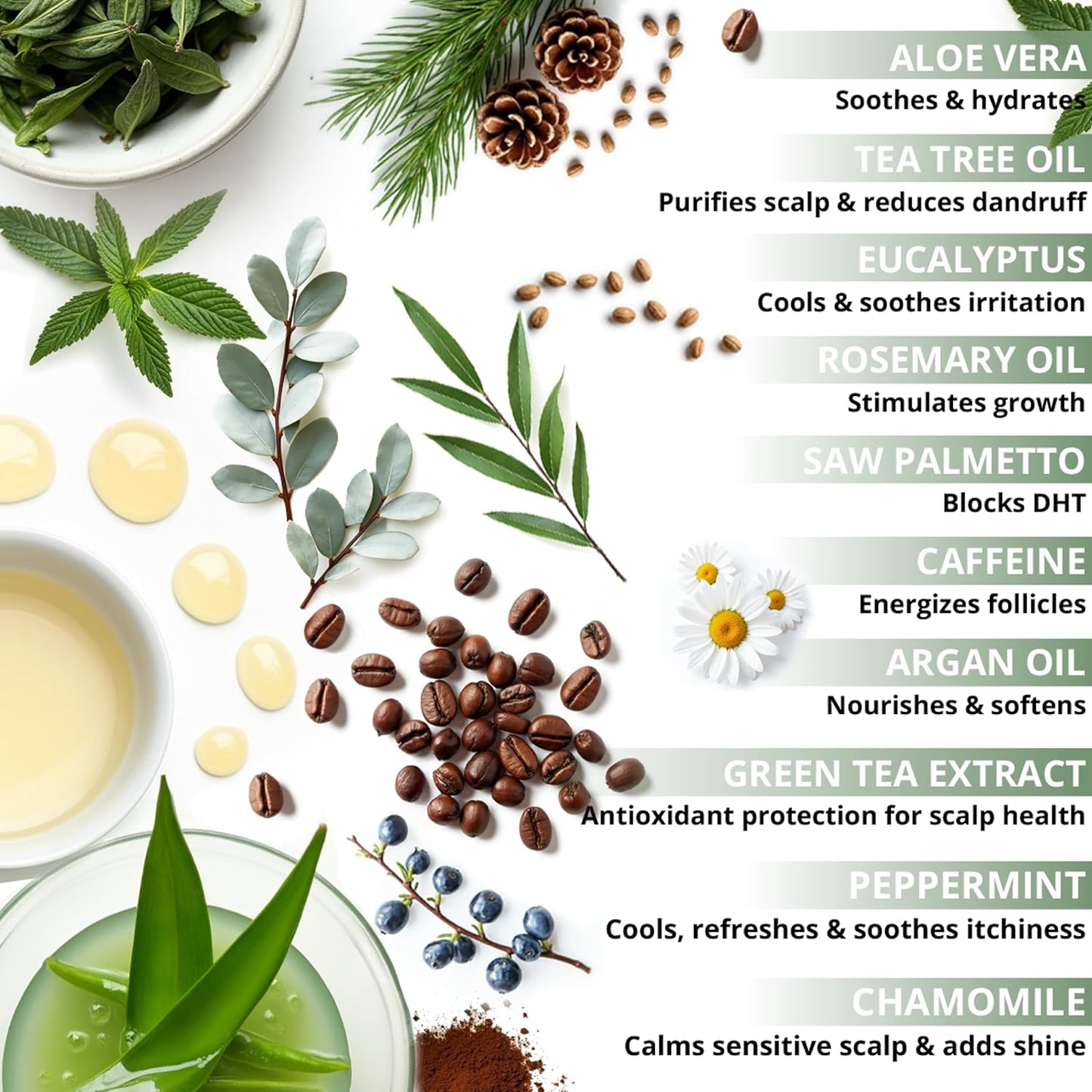 Tea Tree & Eucalyptus Shampoo for Hair Growth & Thinning Hair - Thickening, Sulfate-Free