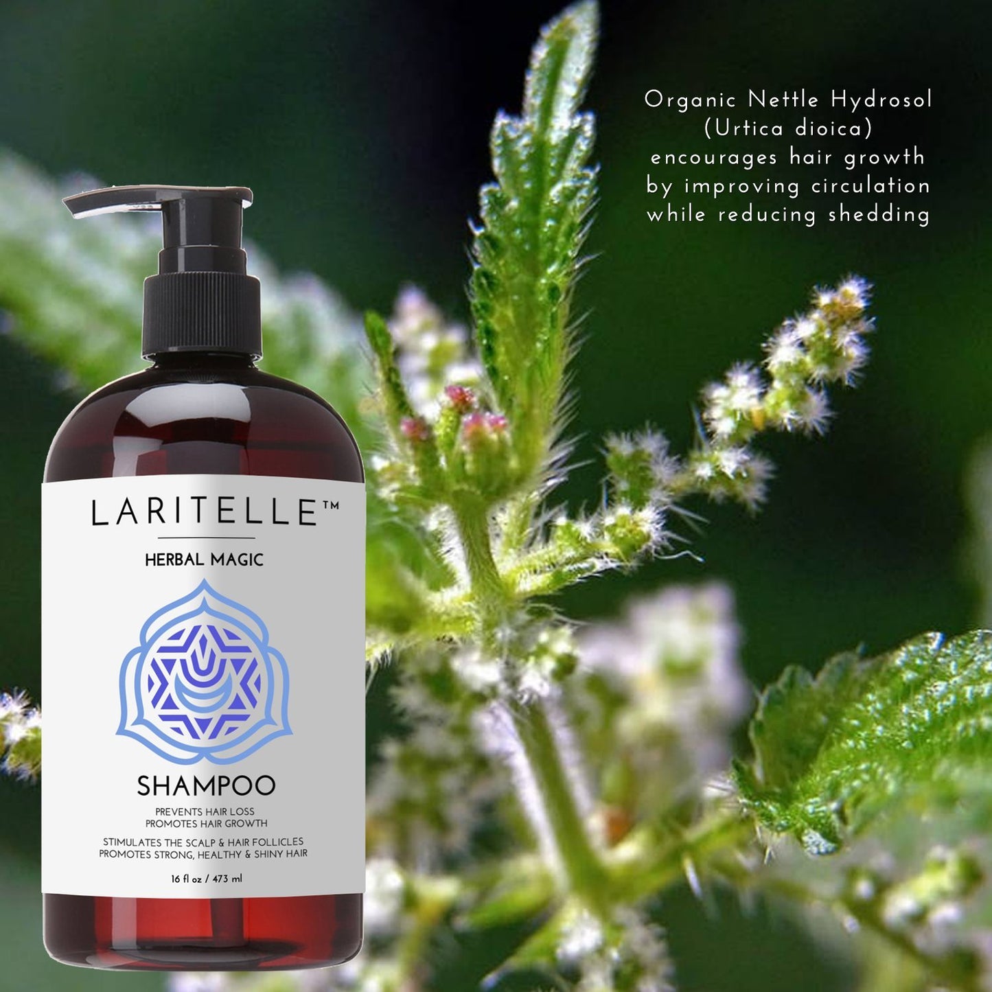 Laritelle Organic Unscented Shampoo Herbal Magic | Hair Loss Prevention, Clarifying & Strengthening | Rosemary & Saw Palmetto | NO GMO, Sulfates, Gluten, Alcohol, Parabens, Phthalates | Hypoallergenic