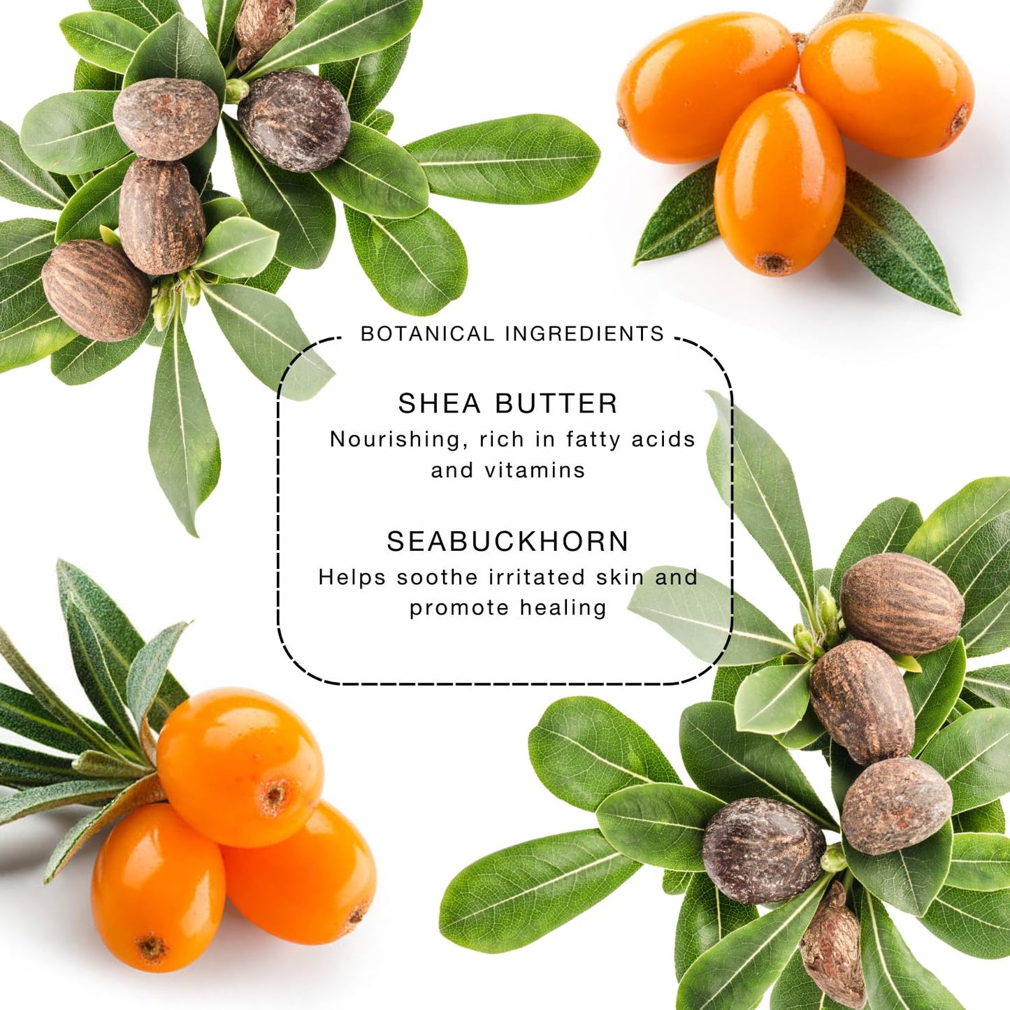 biba de sousa The Eye Gel Cream- Anti-Aging Formula for Wrinkles and Puffiness - Hydrating, Firming & Rejuvenating Eye Treatment (0.5 oz)