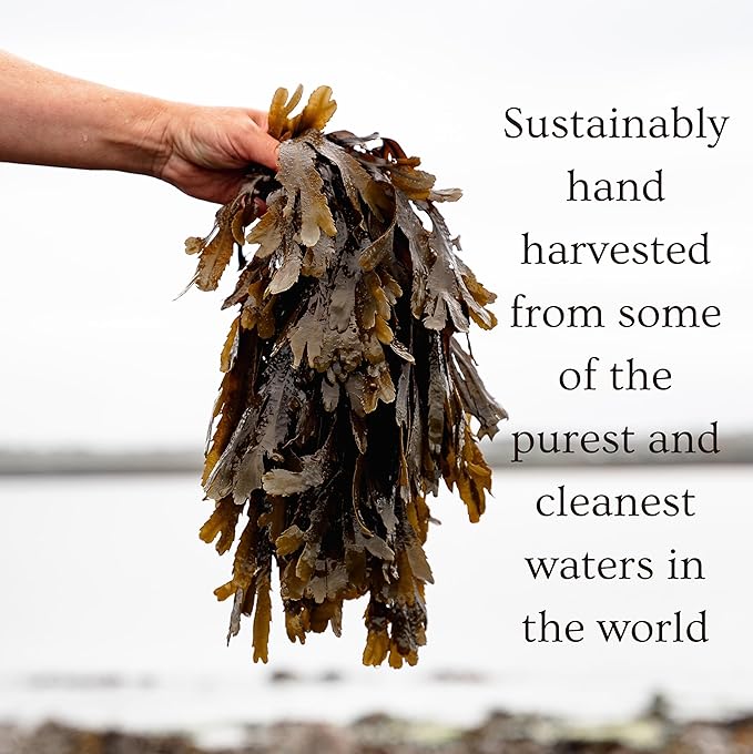 Ishga Organic Nourishing Face Oil | Scottish Seaweed, Jojoba, Almond Oil, Rose Geranium | Vegan, Cruelty-Free | 1.69fl oz (50ml)