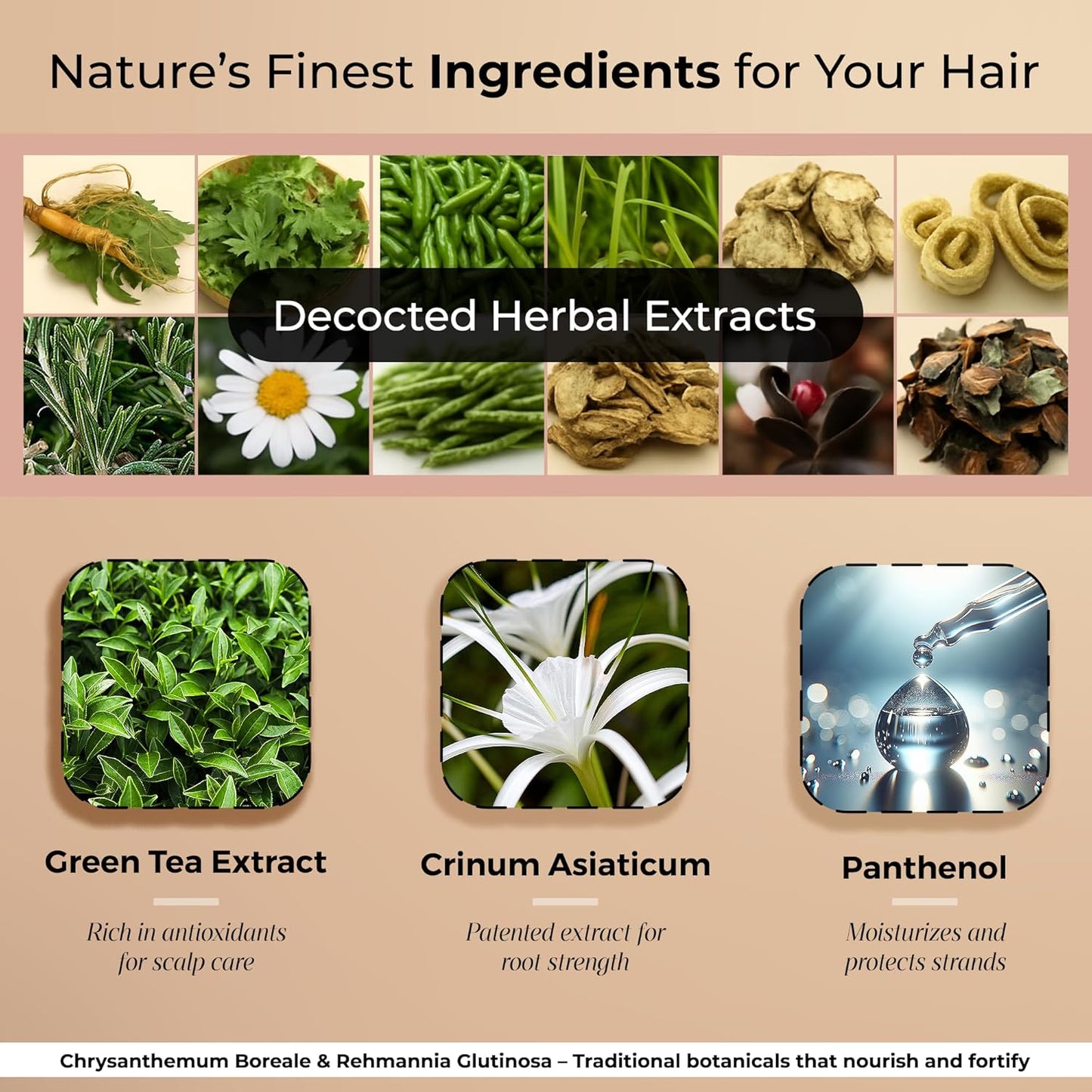 Sublimizhair Korean Herbal Shampoo for Dry & Damaged Hair | Hanbang Formula with Ginseng, Licorice & Tea Extracts | Gentle Scalp Cleansing | pH Balanced Shampoo | 300 ml / 10.1 fl oz