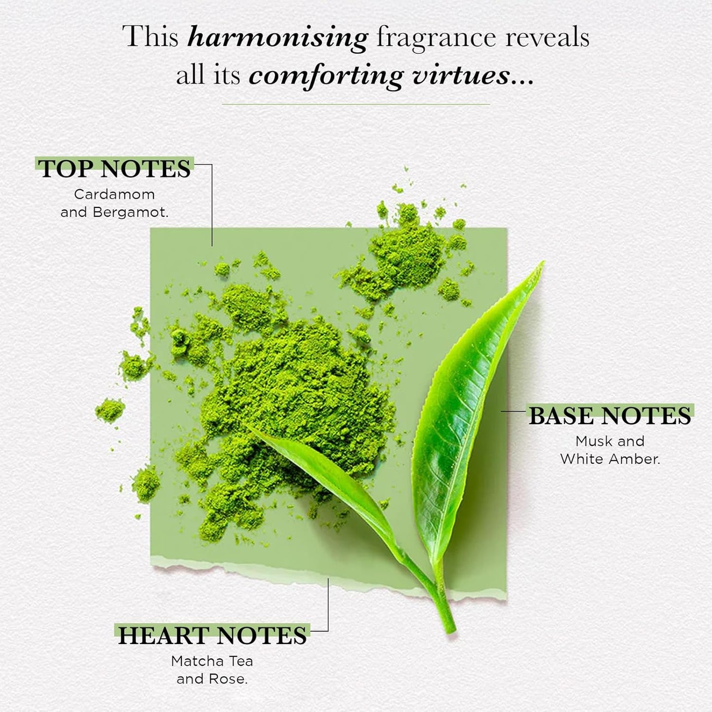 Solinotes Matcha Tea Perfume for Women, 1.7 Fl Oz/ 50 ML Eau De Parfum, Delicate Floral and Soothing Scent with Premium Ingredients - Clean Perfume, Cruelty Free, Vegan, Made in France