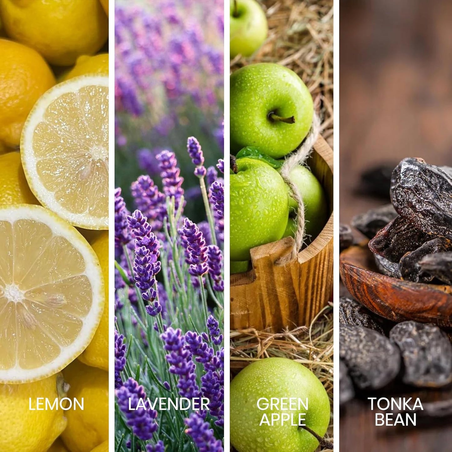 Sapil Intense Aromatic Spicy Men's Eau de Toilette with Lemon, Ginger & Vetiver – Long-Lasting, Bold & Masculine Fragrance for All Seasons & Occasions (100ml / 3.4oz)