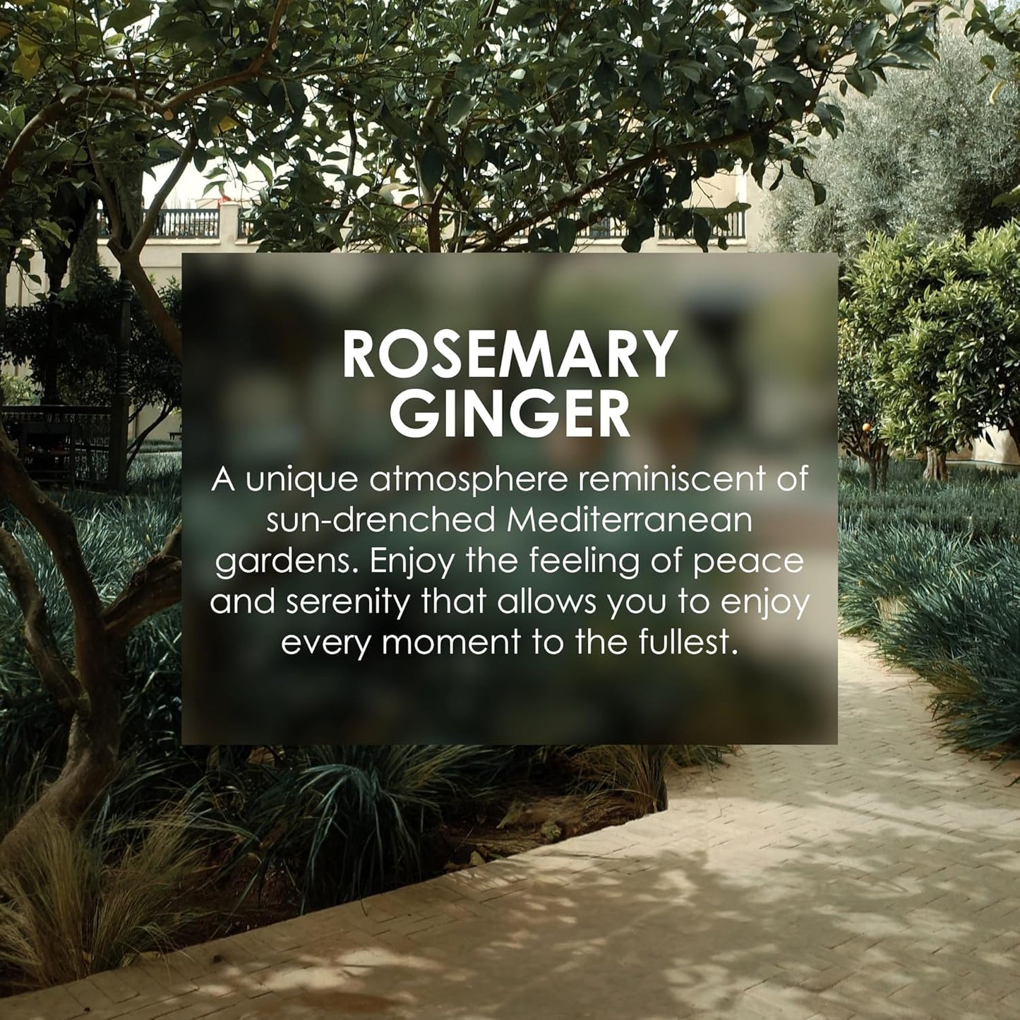 Jean & Len Hair Mask Rosemary & Ginger, for severely damaged, dry & dull hair, intensive moisturizing care, without parabens, silicones and microplastics, 6.76 Fl. Oz.