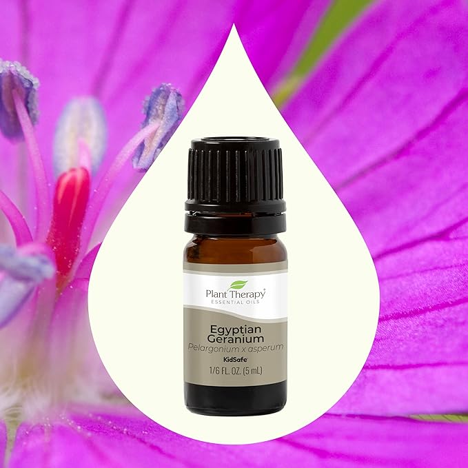 Plant Therapy Egyptian Geranium Essential Oil 100% Pure, Undiluted, Natural Aromatherapy, Therapeutic Grade 5 mL (1/6 oz)