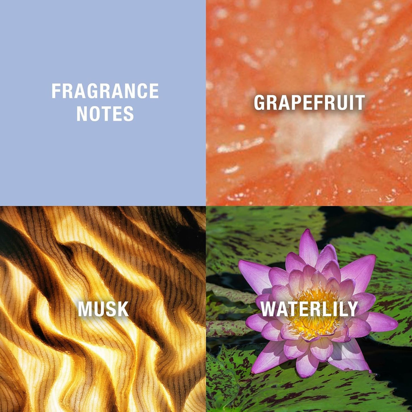 Curve Women's Perfume, Eau de Toilette EDT Spray, 3.4 fl oz