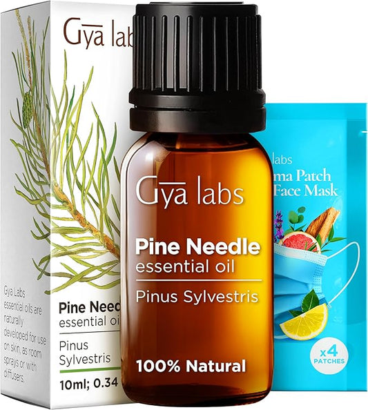 Gya Labs Pine Essential Oils for Diffuser - 0.34 Fl Oz - 100% Pure Natural Fall Pine Oil for Skin, Body Massages, Candle Making DIY - Fresh Woodsy Scent