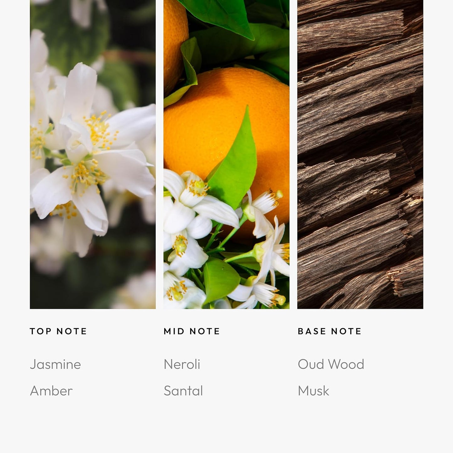 Aroma360 Parfum - Men's Cologne & Women's Perfume - Unisex Eau de Parfum - Luxurious Fragrance Oil