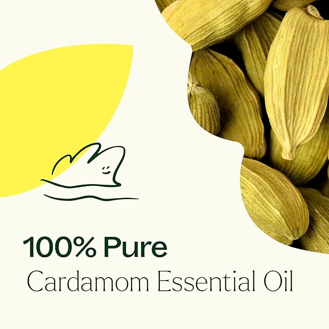 Plant Therapy Cardamom Essential Oil 5 mL (1/6 oz) 100% Pure, Undiluted, Therapeutic Grade