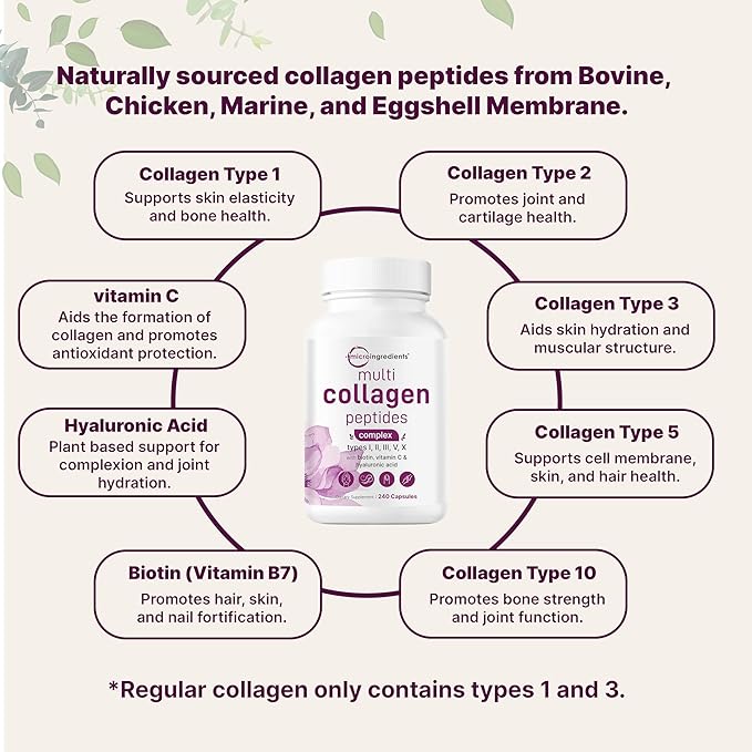 Micro Ingredients 2 Pack Multi Collagen Pills for Women & Men, 480 Capsules | Type I, II, III, V, X - Hydrolyzed Peptides with Biotin, Hyaluronic Acid & Vitamin C | Hair, Skin, Nail & Joint Support