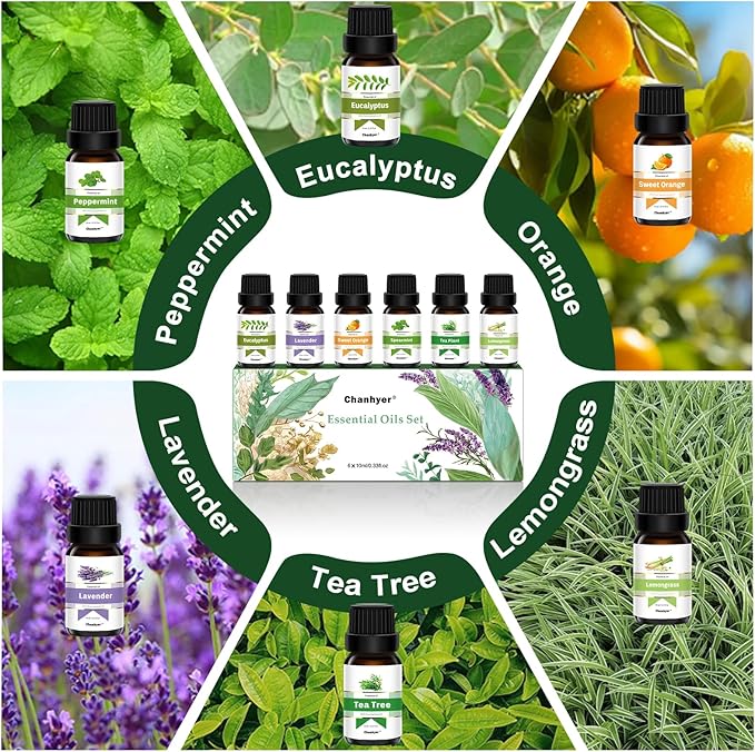 Essential Oils Set - Top 6 Aromatherapy Oils Gift Set, 6 Pack, 10ml (Peppermint, Tea Tree, Lavender, Eucalyptus, Lemongrass, Orange) for Diffusers, Home Fragrance, Massage