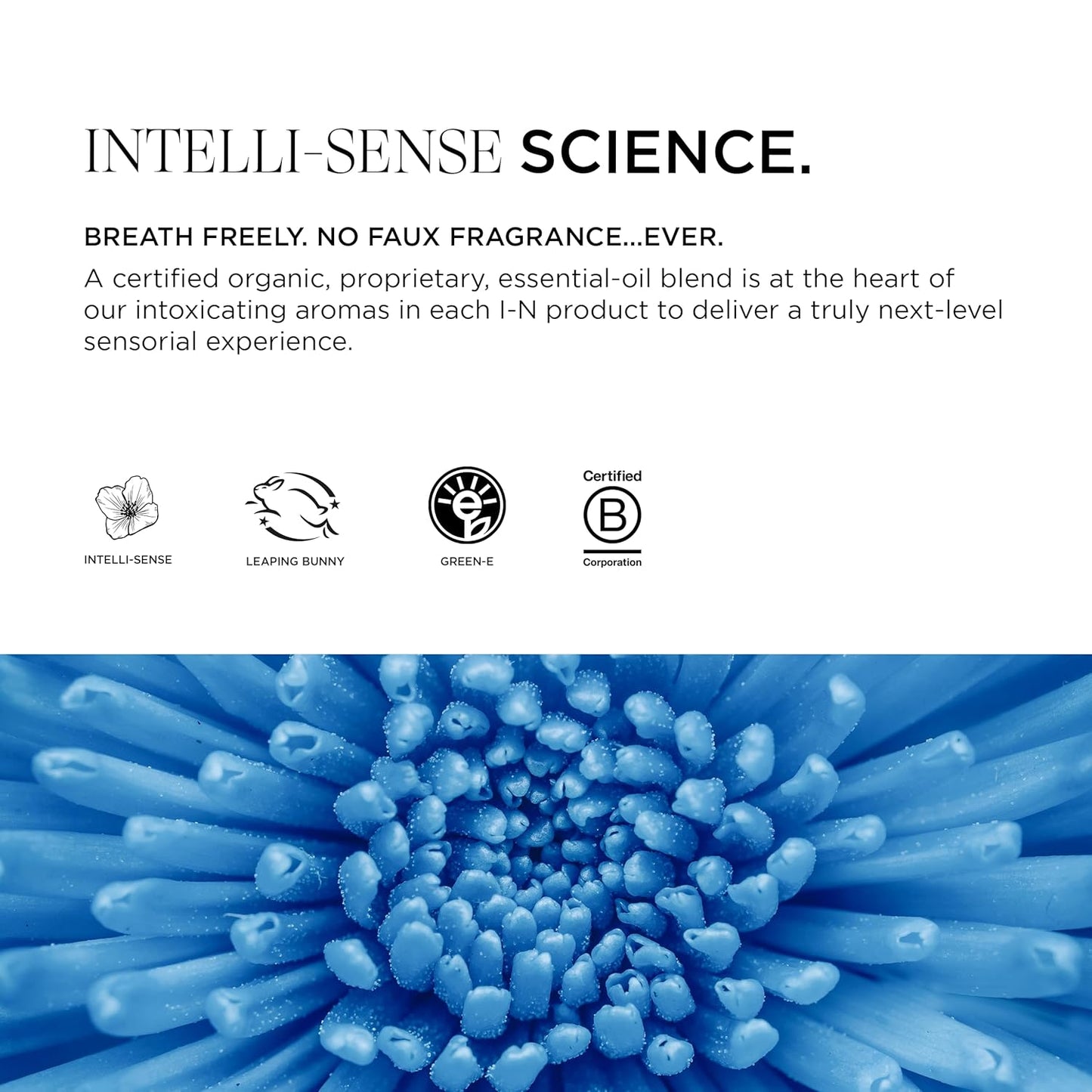 Intelligent Nutrients Tousled Texture Matte Paste – Natural, Medium Hold Hair Styling Paste for All Hair Types, Matte Finish, with Certified Organic Castor & Safflower Oils, Clean Beauty, 2 oz