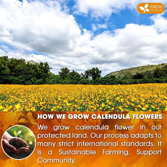 FRESHDRINKUS 75 Calendula Tea Bags, 100% Natural and Pure Calendula Flowers, Eco-conscious Tea Bags. Calendula Flower Herbal Tea. No Sugar, No Caffeine, No Gluten, Vegan.