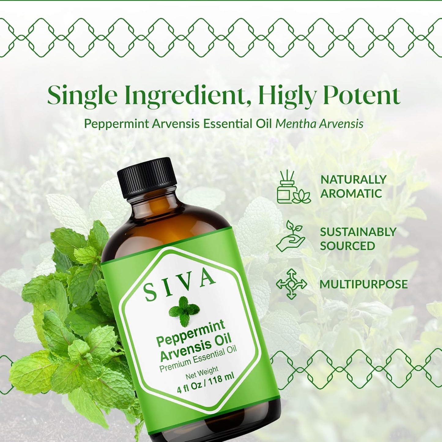 Siva Peppermint Arvensis Essential Oil - 4 Fl Oz – 100% Natural Peppermint Arvensis Oil - for Diffuser, Face, Skin Care, Aromatherapy, Hair Care, Scalp and Body Massage - with Dropper