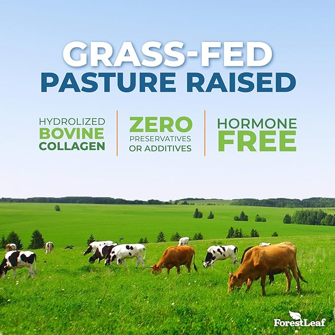 ForestLeaf Multi Collagen Pills - Collagen Men & Collagen Women - Hydrolyzed Collagen Supplements with Vitamin C & Hyaluronic Acid - Collagen Capsules for Hair, Skin & Nails (240 Peptide Capsules)