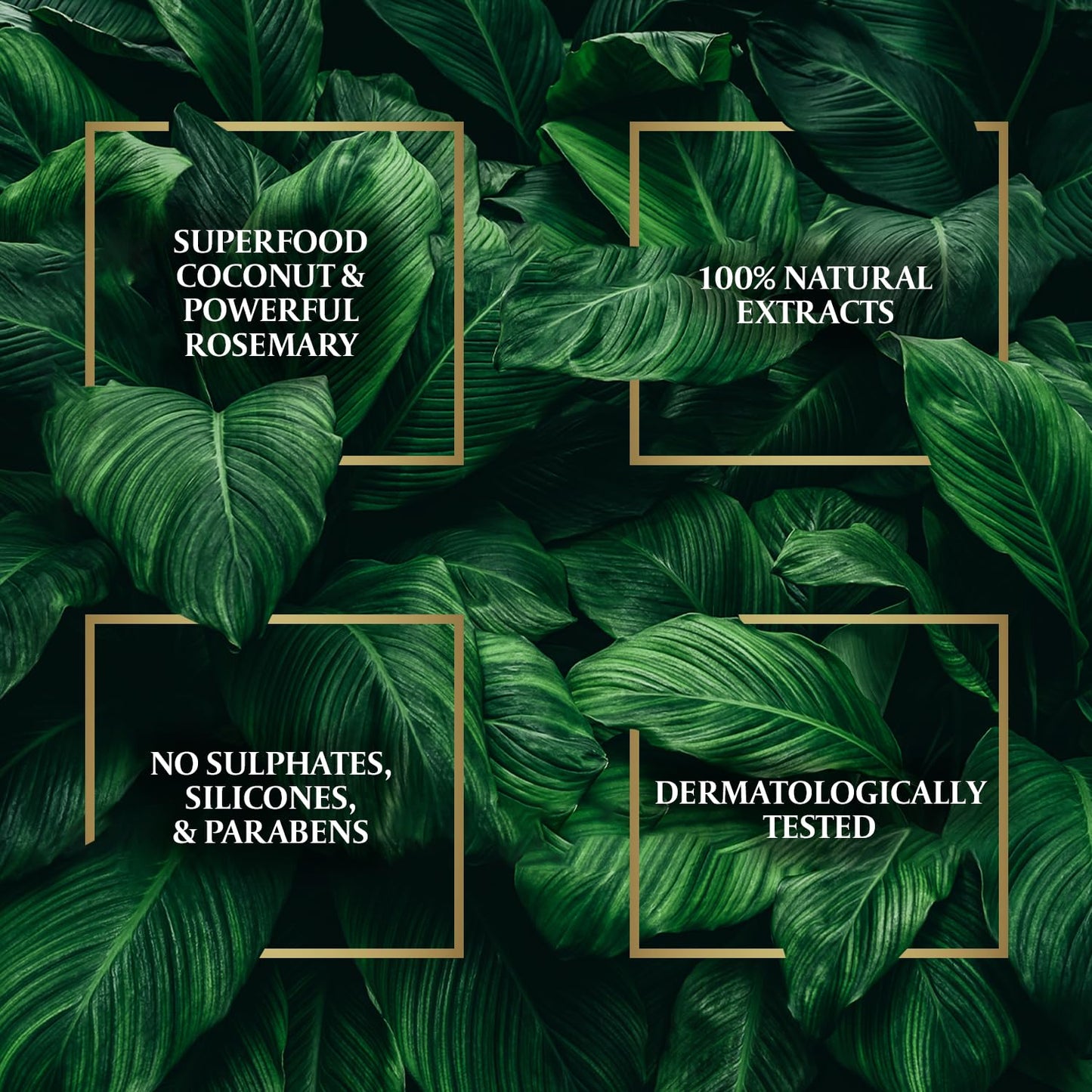 Parachute Advansed Rosemary Hair Oil with Coconut| For 2x Longer & Thicker Hair| Reduces Hairfall & Strengthens Hair| All Hair Types|No Parabens & Silicones| 10.1 Fl.oz.