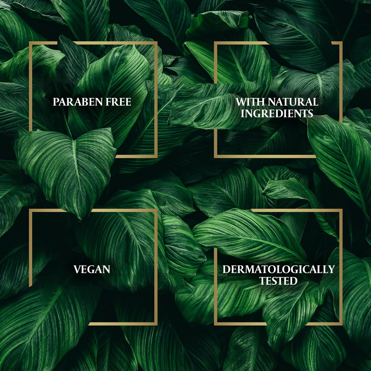 Parachute Advansed Anti-Dandruff Rosemary Shampoo with Coconut | Nourishes Hair & Detoxes Scalp | 11.4 Fl oz | Pack of 2