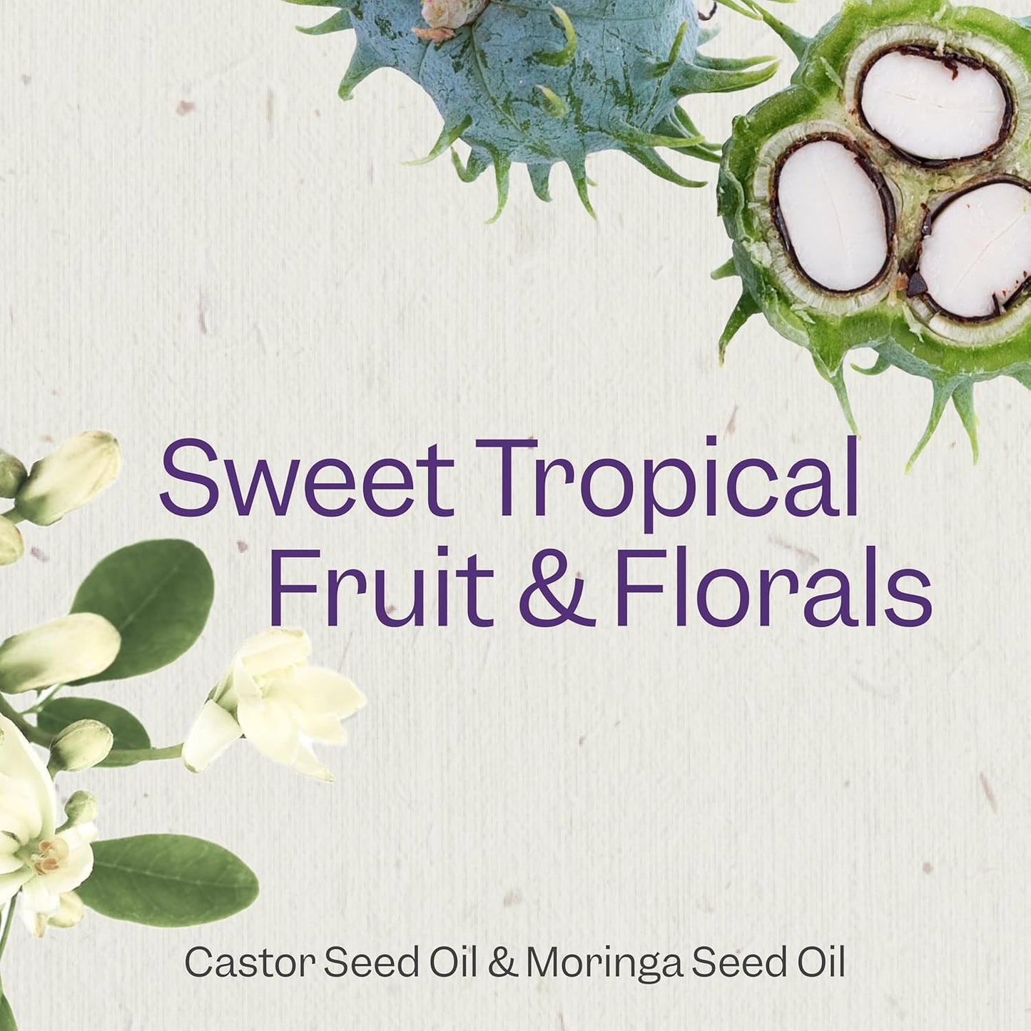 Renpure Castor Oil & Moringa Curl Gel - Curl Enhancing Gel - For Smooth, Defined & Frizz-Free Curls -With Castor Oil & Moringa Seed Oil - For Wavy to Curly Hair - 8 Fl Oz