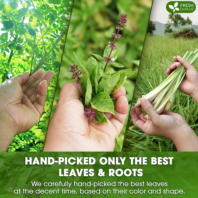 FreshDrinkUS, Premium 30 Tea Bags Tulsi Moringa Lemongrass, 100% Natural & Pure from Tulsi Holy Basil Leaves, Moringa & Lemongrass. Made with Natural Material Tea Bags. No Sugar, No Caffeine, Vegan.