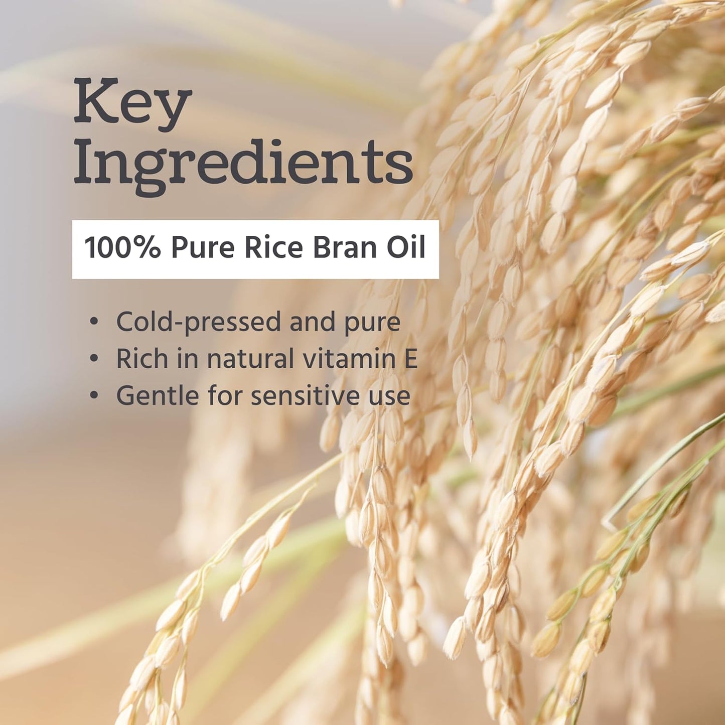 Well's Oil Rice Bran Oil | 100% Pure Natural Carrier Oil | Refined, Cold Pressed | For Body, Skin & Hair (8 fl oz / 237 ml) (Pack of 2)